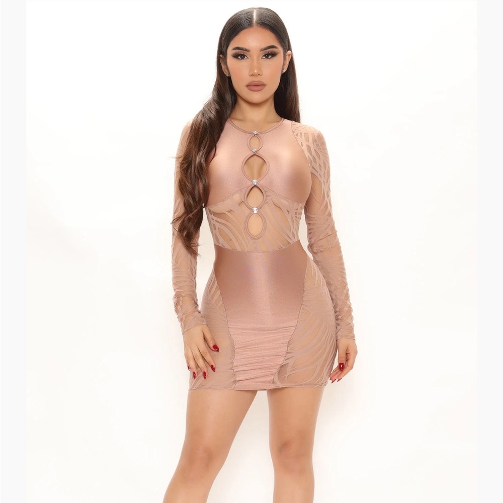 Elegant Pink Sheer Dress